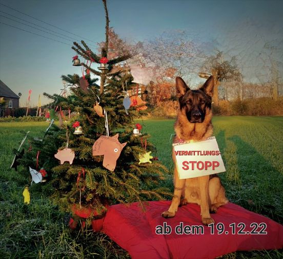 Kostenlose Tier-Zeit als Geschenk für Kinder – Bund deutscher ...